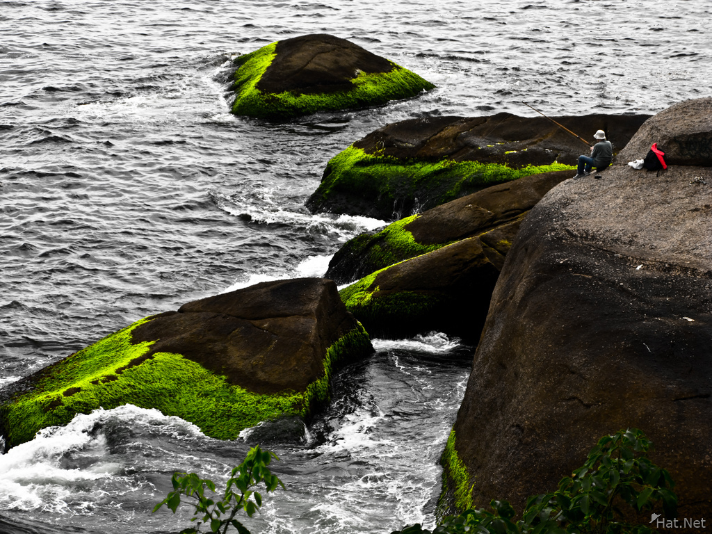 green shores