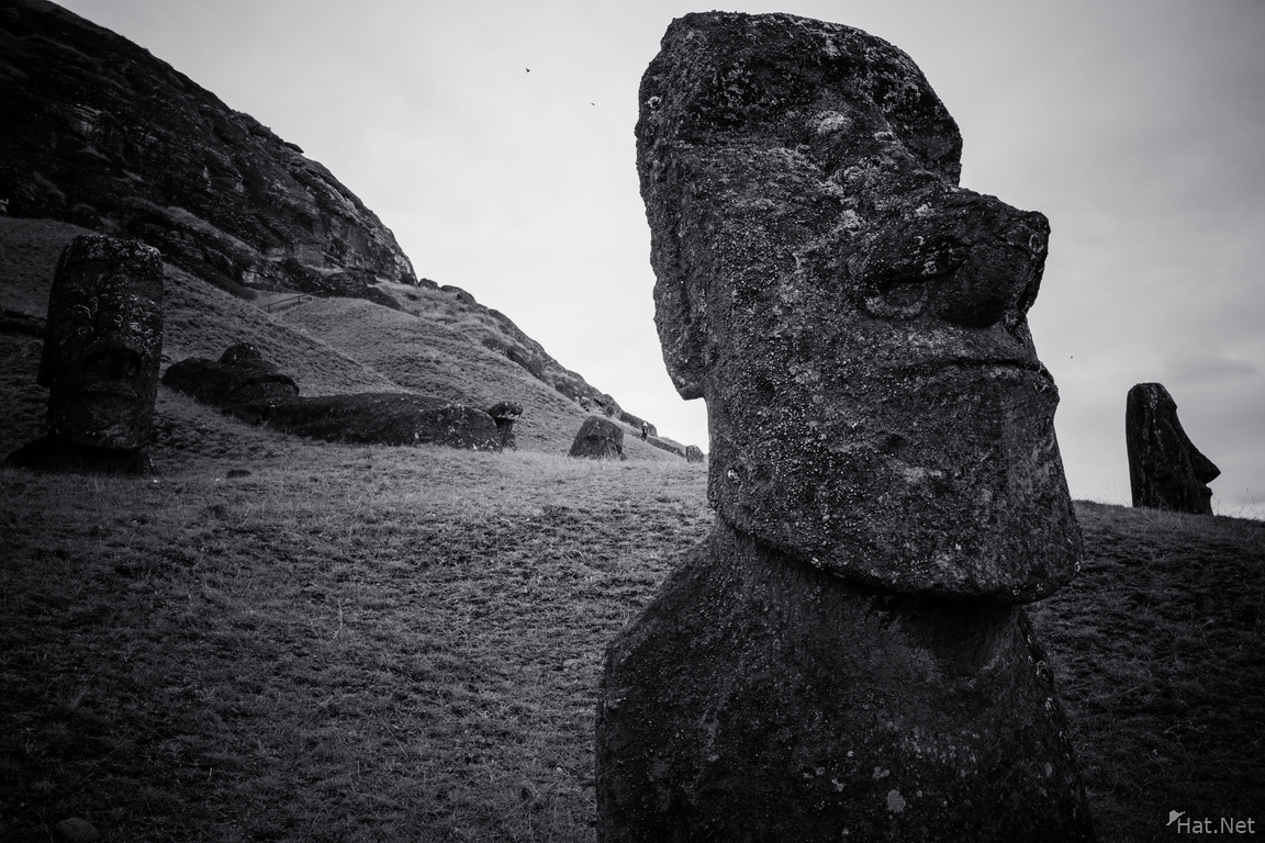 Rano Raraku Moai Head