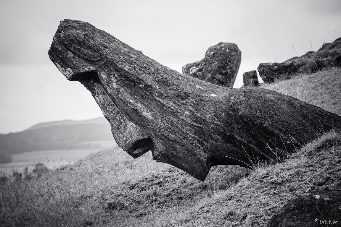 Titlted Moai of Rano Raraku