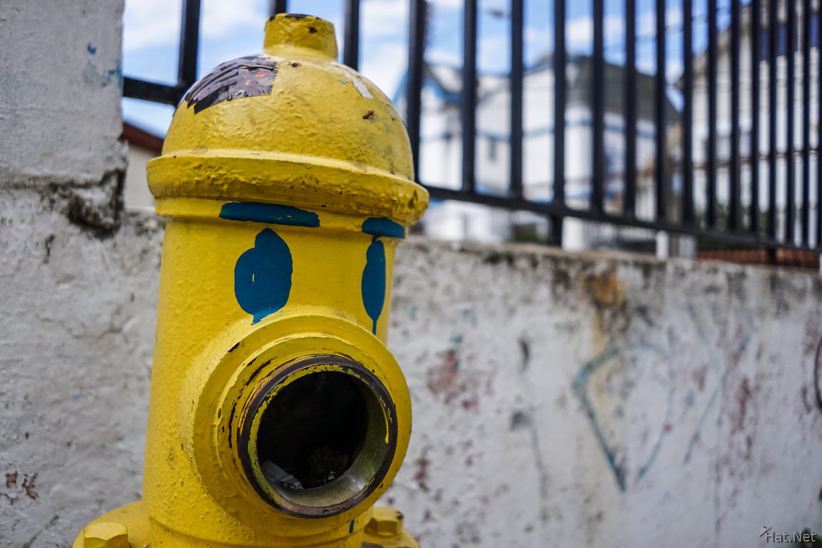 Hydrant with eyes