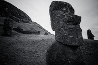 Rano Raraku Moai Head Isla de Pascua,  Región de Valparaíso,  Chile, South America