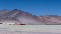 Altiplanic Lagoons San Pedro de Atacama,  Región de Antofagasta,  Chile, South America