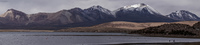 Laguna Chungarati Birds Putre,  Región de Arica y Parinacota,  Chile, South America