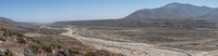 desert valley La Higuera,  Región de Coquimbo,  Chile, South America