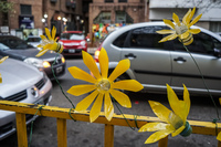 20150922182716_Yellow_Plastic_Flower_of_Cordoba