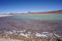 Tara Salt Flats San Pedro de Atacama,  Región de Antofagasta,  Chile, South America