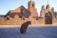 Archeological museum San Pedro de Atacama,  Región de Antofagasta,  Chile, South America