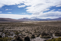 Guallatiri Volcano and the desert Putre,  Región de Arica y Parinacota,  Chile, South America