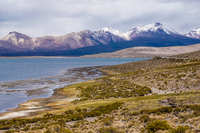 Laguna Chungarati Putre,  Región de Arica y Parinacota,  Chile, South America