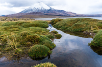 water and Guallatiri Volcano Putre,  Región de Arica y Parinacota,  Chile, South America