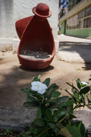 20151005130752_Old_Lady_Pot_in_Azapa_Valley_Museum