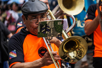 Trumpeter Santiago,  Recoleta,  Región Metropolitana,  Chile, South America