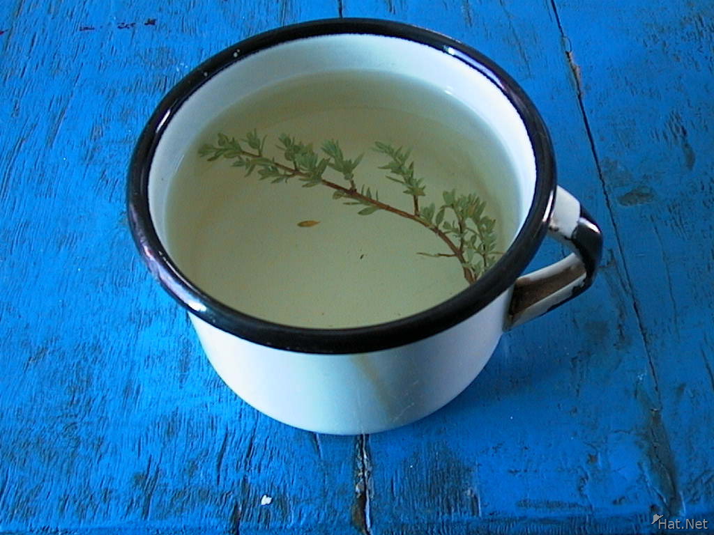 the herb tea