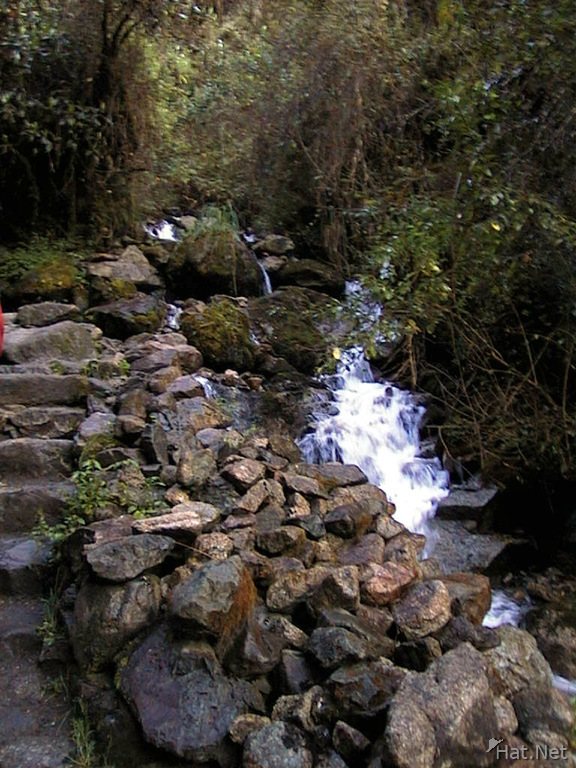 waterfall in the cloud forest