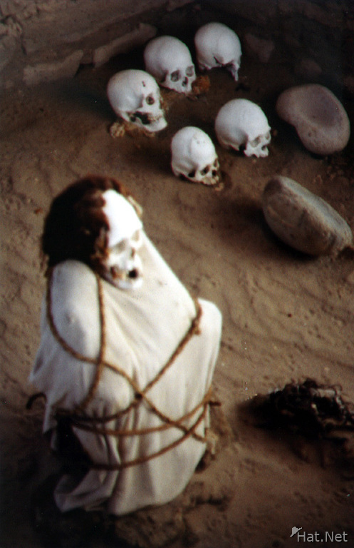 nazca mummy with head drformed