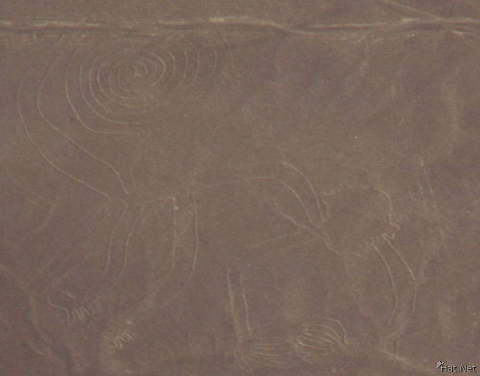 nazca lines - monkey